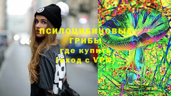 прущие крисы Кодинск