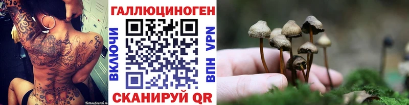 Галлюциногенные грибы Psilocybine cubensis  Стерлитамак 
