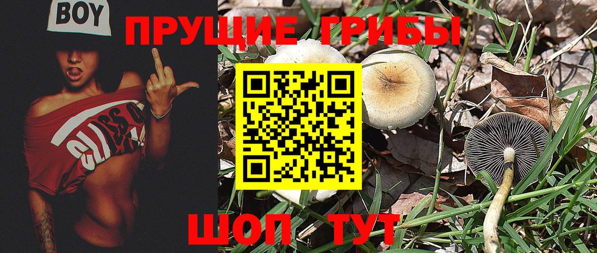 Псилоцибиновые грибы ЛСД Стерлитамак