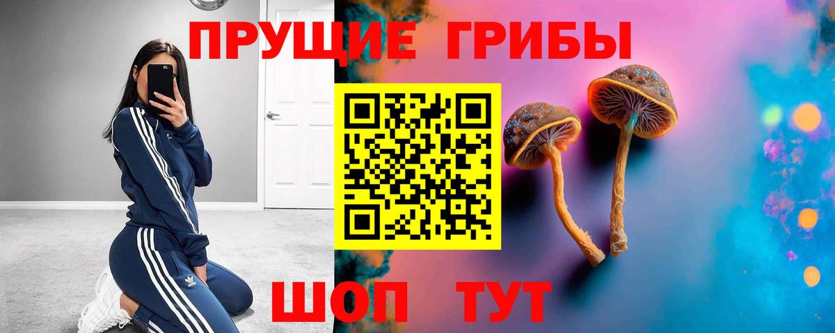 Галлюциногенные грибы мицелий  Вход с VPN  Стерлитамак 